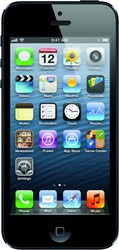 Apple iPhone 5 16GB - Зеленогорск