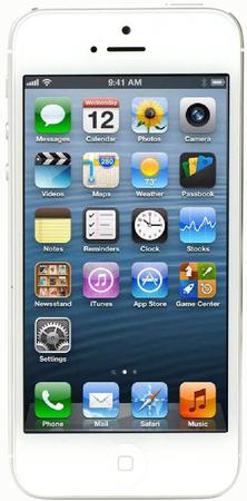 Смартфон Apple iPhone 5 64Gb White & Silver - Зеленогорск